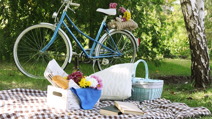 bisiklet-piknik