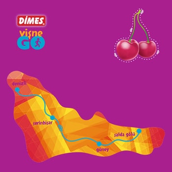 dimes-go-visne-map-3